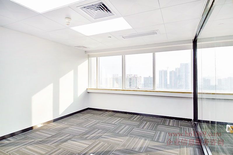 新洲國通大廈 寫字樓 出租面積:333平米 裝修圖片