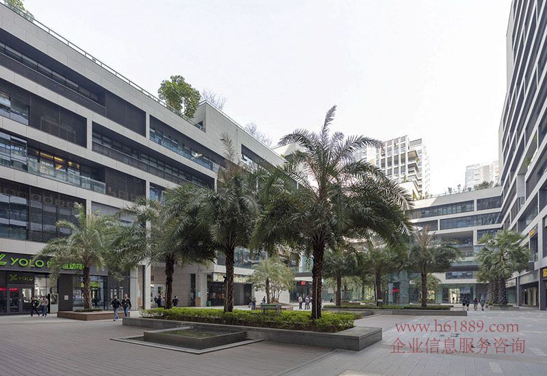 金谷6號(深業(yè)泰然大廈)贈獨(dú)立大陽臺 電梯口全辦公家私 多套出租 周邊環(huán)境圖片